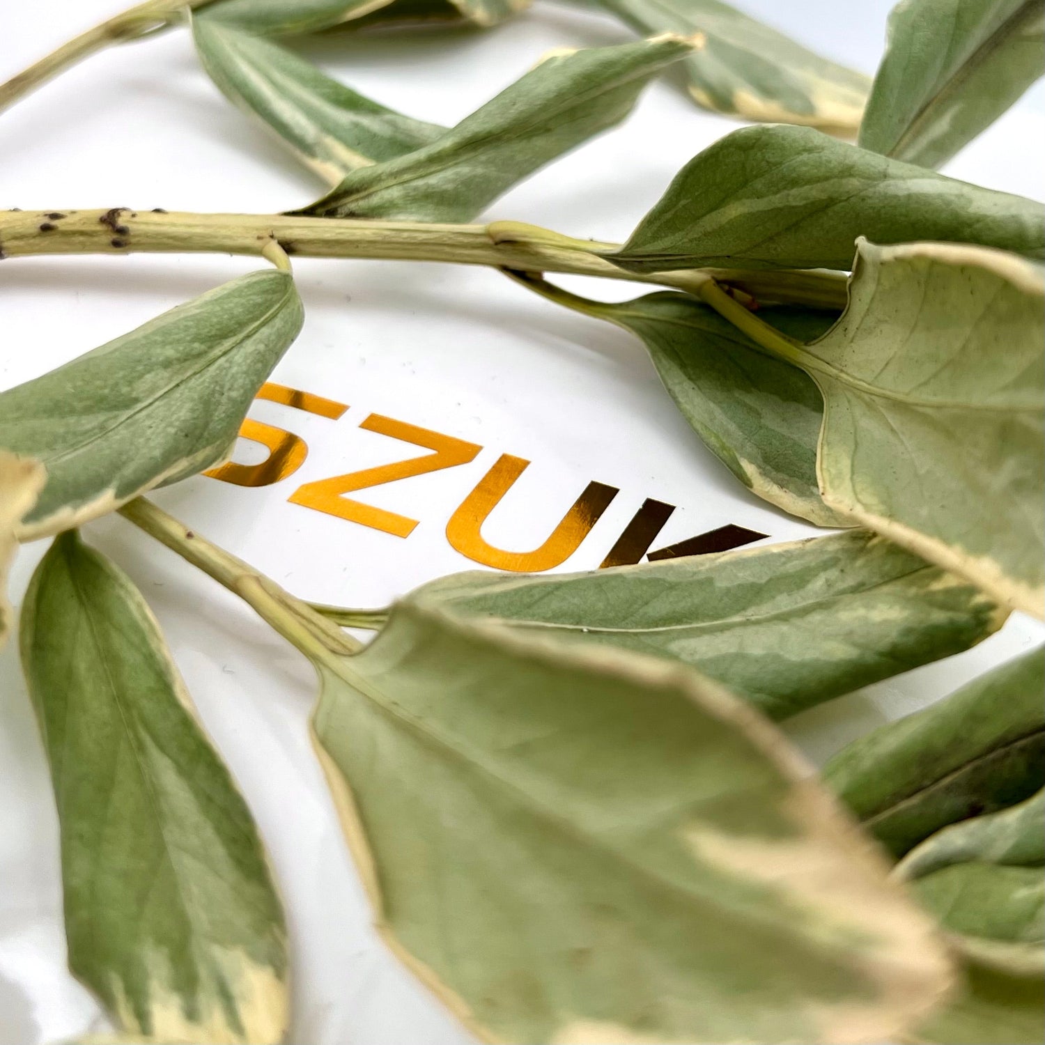 Accessoires et outils Intérieurs