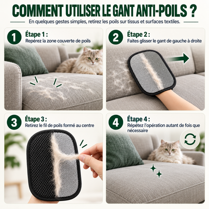 Gant anti-poils animaux
